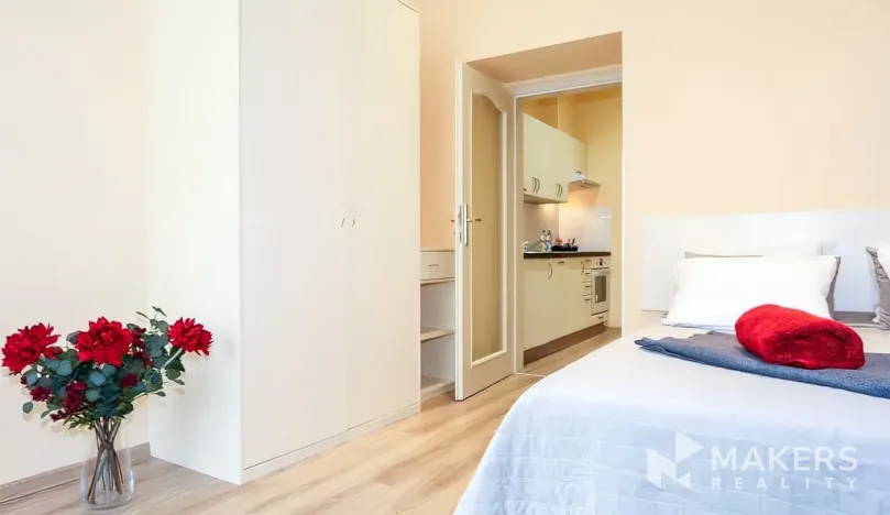 Pronájem bytu 1+1, Praha - Vinohrady, Máchova, 40 m2