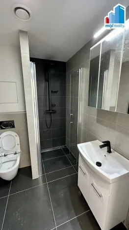 Pronájem bytu 1+kk, Plzeň, Pilařská, 31 m2