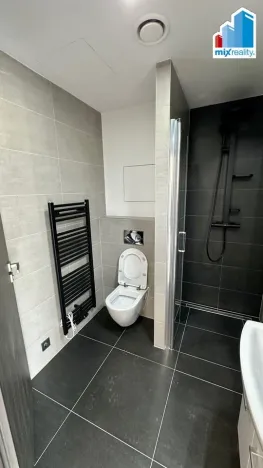 Pronájem bytu 1+kk, Plzeň, Pilařská, 31 m2