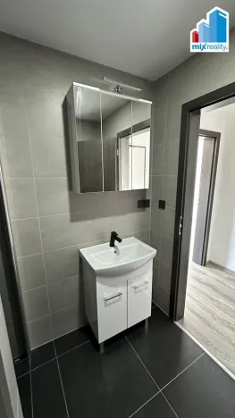 Pronájem bytu 1+kk, Plzeň, Pilařská, 31 m2