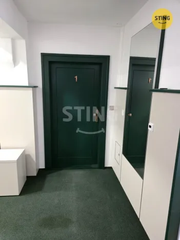 Pronájem bytu 4+kk, Opava, Sadová, 99 m2