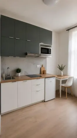 Pronájem bytu 1+kk, Praha - Nové Město, Kateřinská, 35 m2