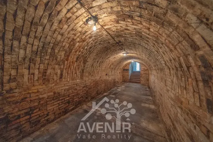 Prodej vinného sklepa, Čejkovice, 84 m2