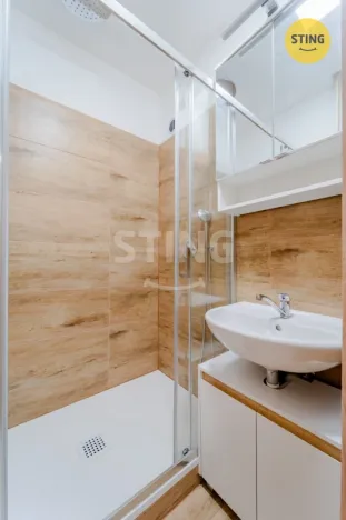 Prodej bytu 2+1, Opava - Předměstí, Haškova, 51 m2