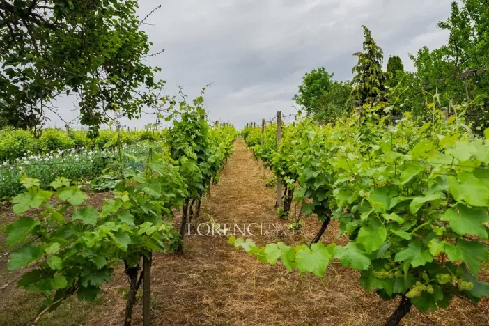 Prodej rodinného domu, Nový Poddvorov, 104 m2