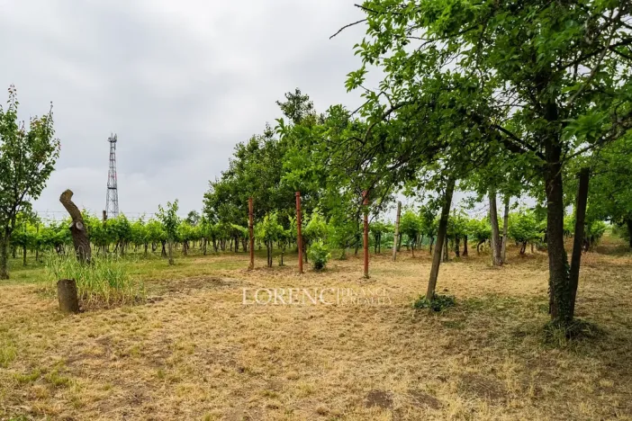 Prodej rodinného domu, Nový Poddvorov, 104 m2