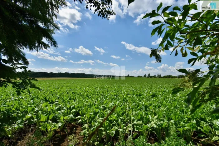 Prodej rodinného domu, Dobrá Voda u Hořic, 2572 m2