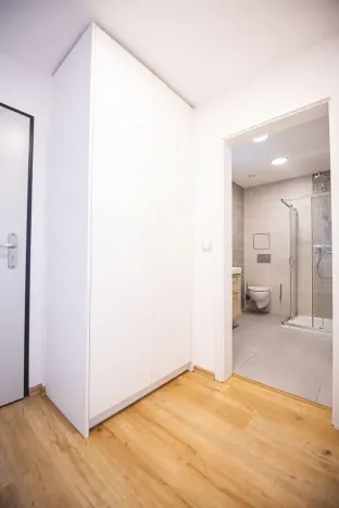 Pronájem bytu 1+kk, Praha - Karlín, Pod výtopnou, 24 m2