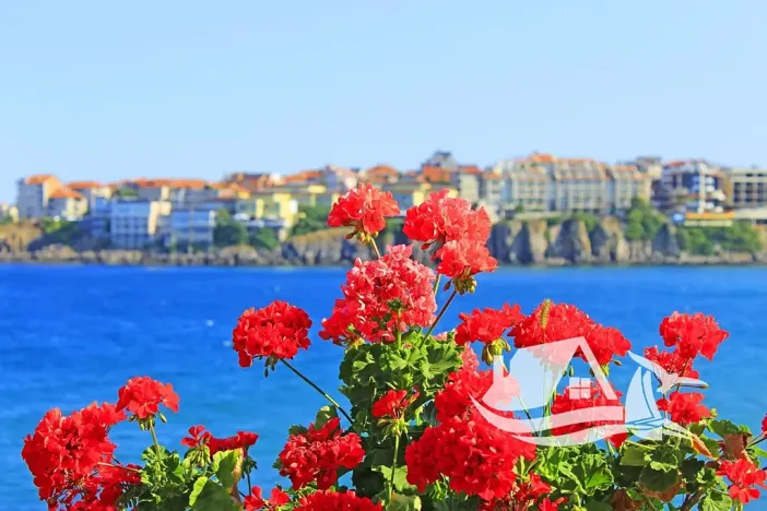 Prodej rodinného domu, Sozopol, Bulharsko, 250 m2