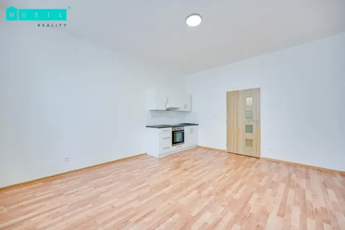 Pronájem bytu 1+kk, Olomouc - Nová Ulice, Resslova, 35 m2