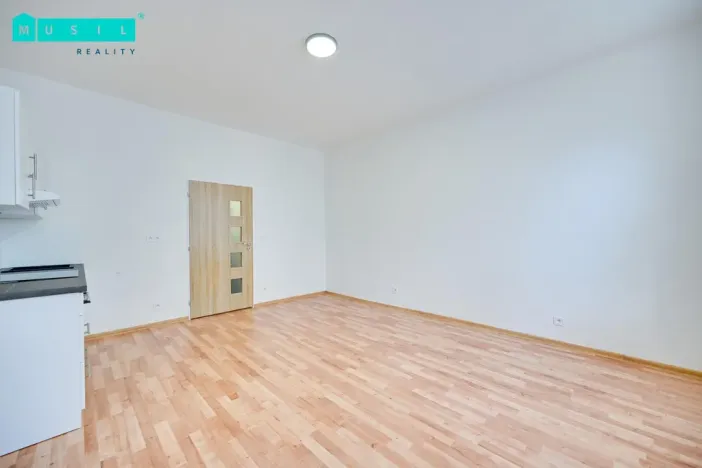 Pronájem bytu 1+kk, Olomouc - Nová Ulice, Resslova, 35 m2