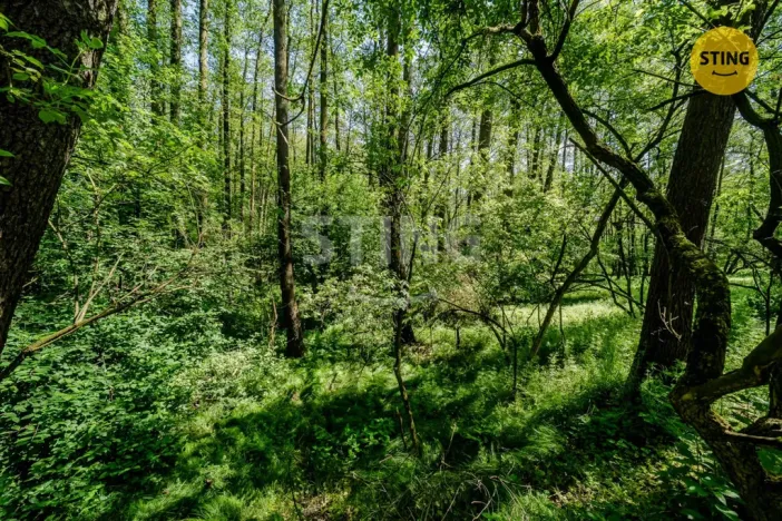 Prodej pozemku, Orlová - Lutyně, 2329 m2