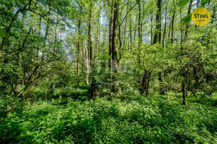Prodej pozemku, Orlová - Lutyně, 2329 m2
