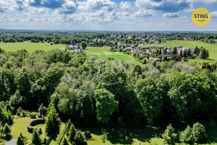 Prodej lesa, Orlová - Lutyně, 1028 m2