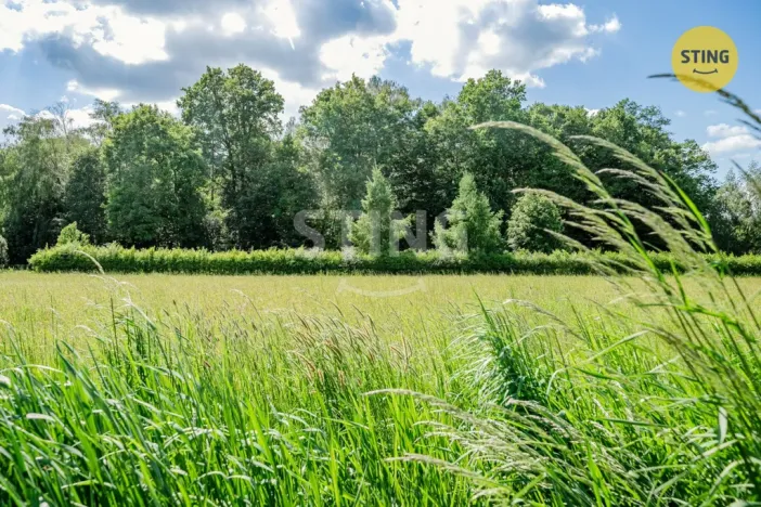 Prodej lesa, Orlová - Lutyně, 1028 m2