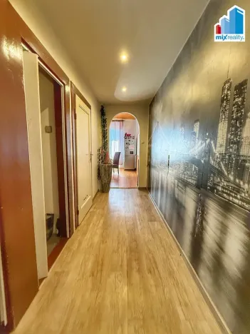 Pronájem bytu 3+1, Plzeň, Klatovská třída, 123 m2