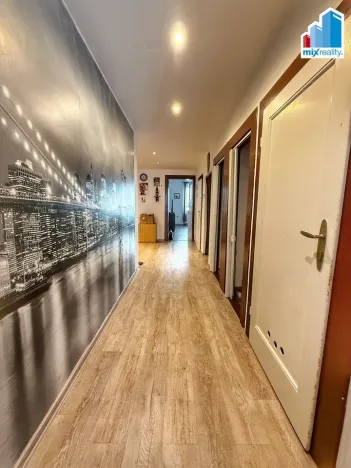 Pronájem bytu 3+1, Plzeň, Klatovská třída, 123 m2