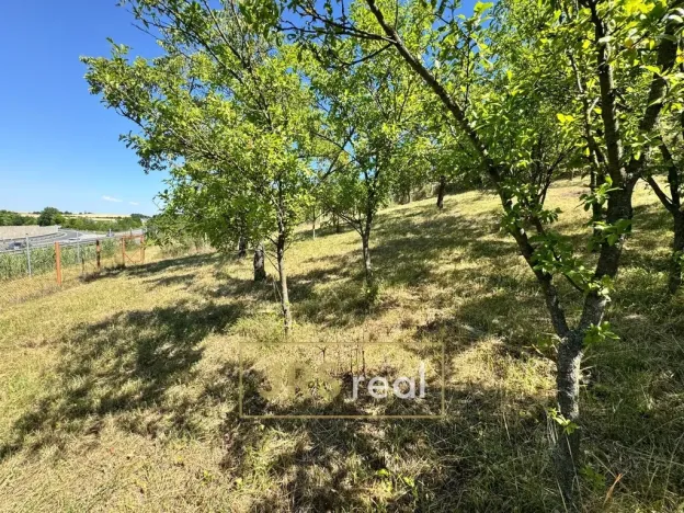 Prodej zahrady, Hustopeče, 530 m2