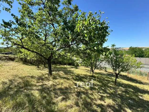 Prodej zahrady, Hustopeče, 530 m2