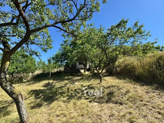 Prodej zahrady, Hustopeče, 530 m2