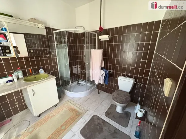 Prodej rodinného domu, Bor - Ostrov, 390 m2