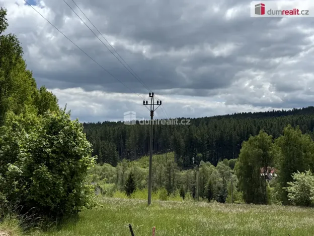 Prodej rodinného domu, Bor - Ostrov, 390 m2