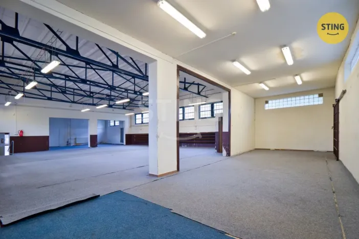 Prodej skladu, Hodonín, Brandlova, 250 m2