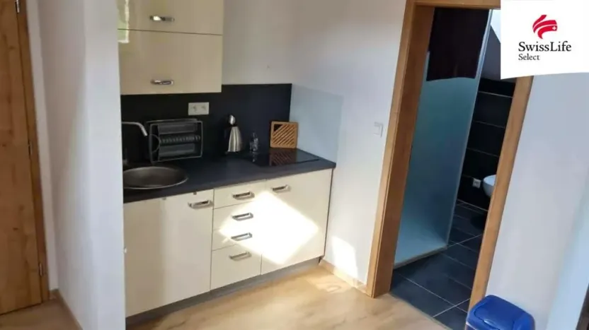 Pronájem bytu 1+kk, Břehov, 32 m2