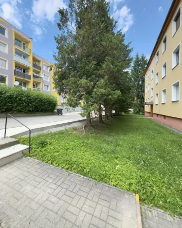 Prodej bytu 1+kk, Nový Bor, Riegrova, 32 m2