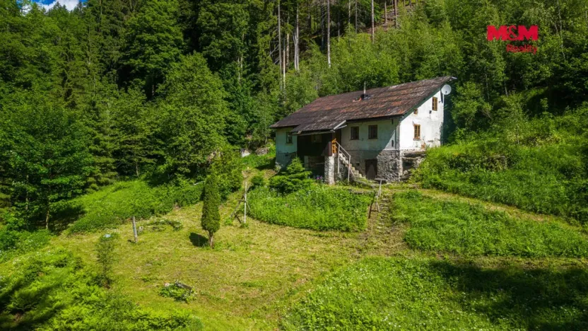 Prodej lesa, Jablonec nad Jizerou - Dolní Tříč, 18052 m2