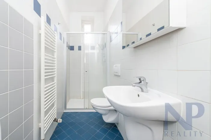 Pronájem bytu 3+kk, Praha - Vinohrady, Šumavská, 54 m2