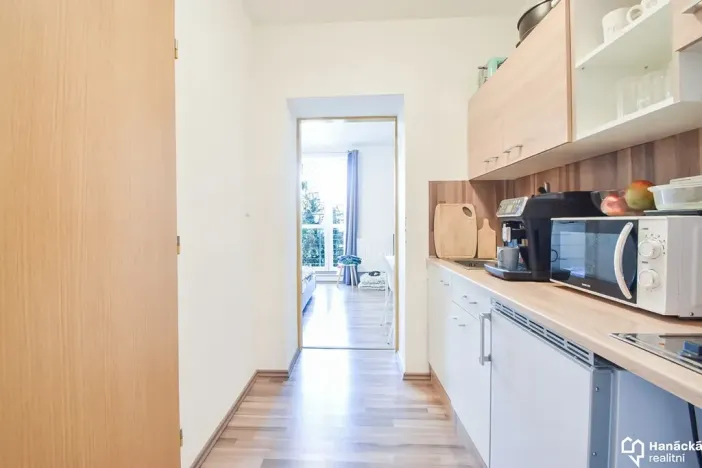 Pronájem bytu 1+kk, Olomouc, Schweitzerova, 24 m2
