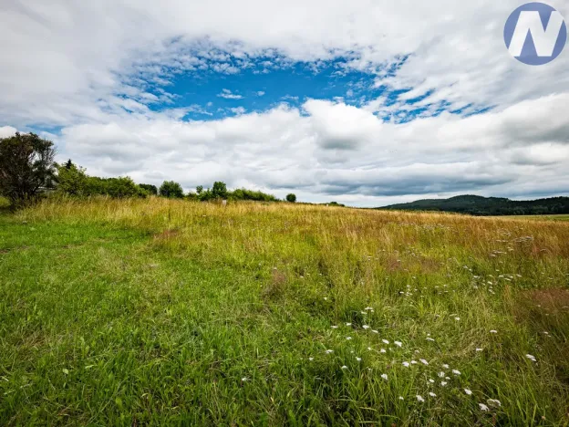 Prodej pozemku pro bydlení, Horní Planá, 1193 m2