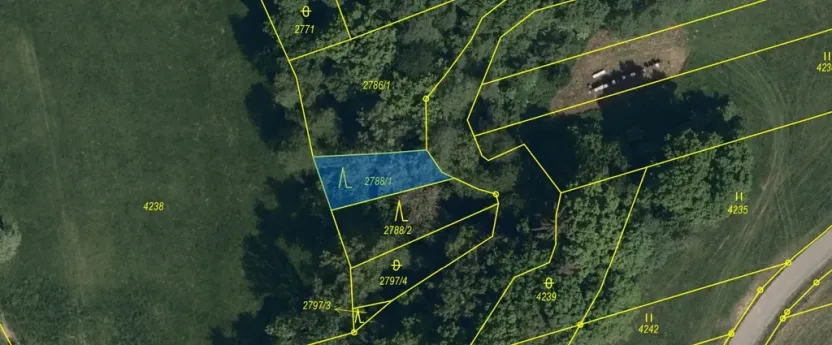 Prodej lesa, Hradčovice, 207 m2