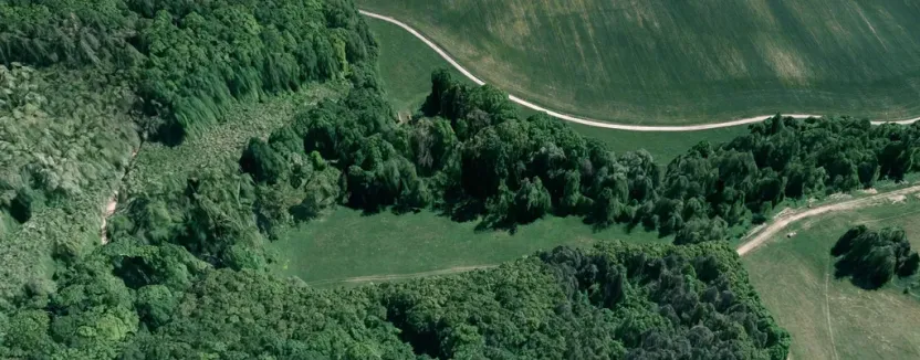 Prodej lesa, Hradčovice, 207 m2