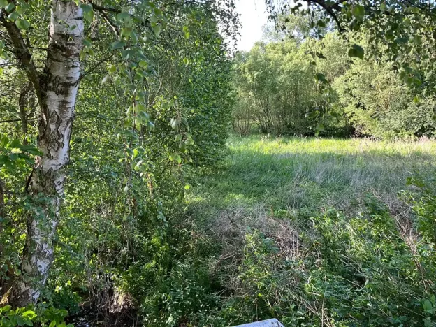 Prodej louky, Oselce, 9182 m2