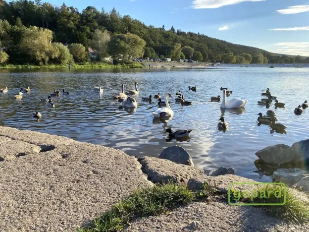 Pronájem bytu 4+kk, Dobřichovice, Anežky České, 100 m2