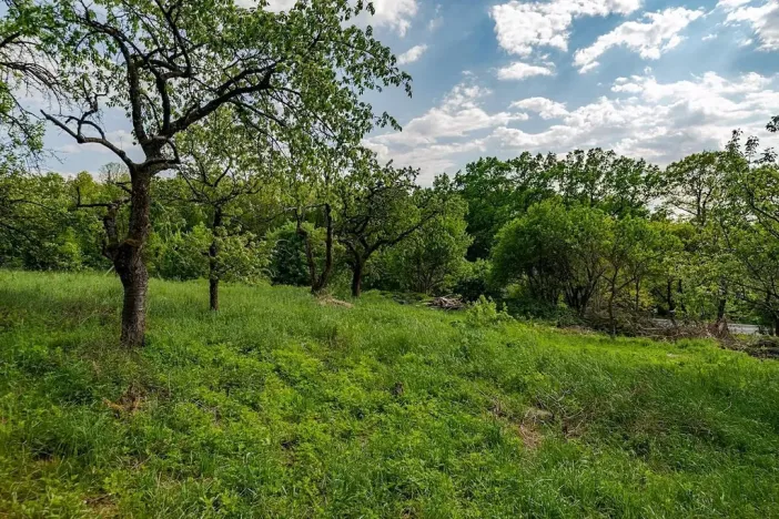 Prodej pozemku pro bydlení, Veliny, 1236 m2