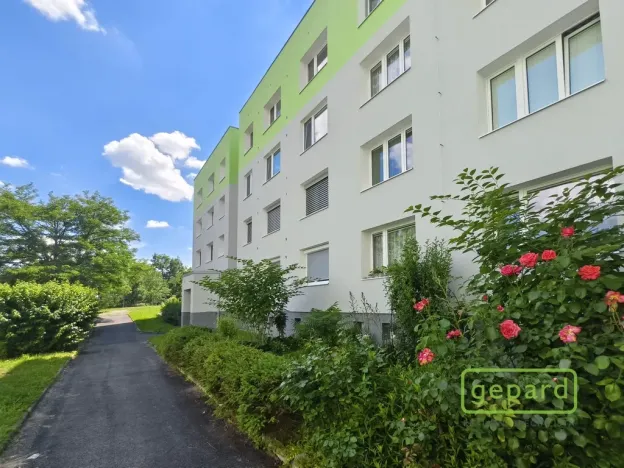 Prodej bytu 2+kk, Plzeň, Bzenecká, 48 m2