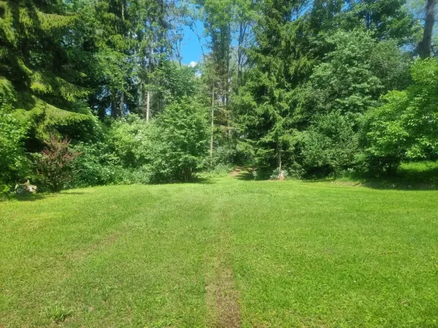 Prodej chaty, Černá v Pošumaví - Plánička, 80 m2