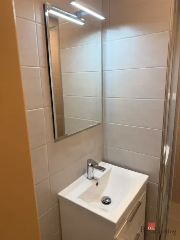 Pronájem bytu 1+1, Horní Bříza, Jedlová, 32 m2