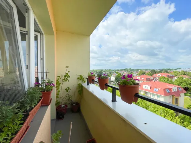Pronájem bytu 2+kk, Olomouc - Neředín, Politických vězňů, 37 m2