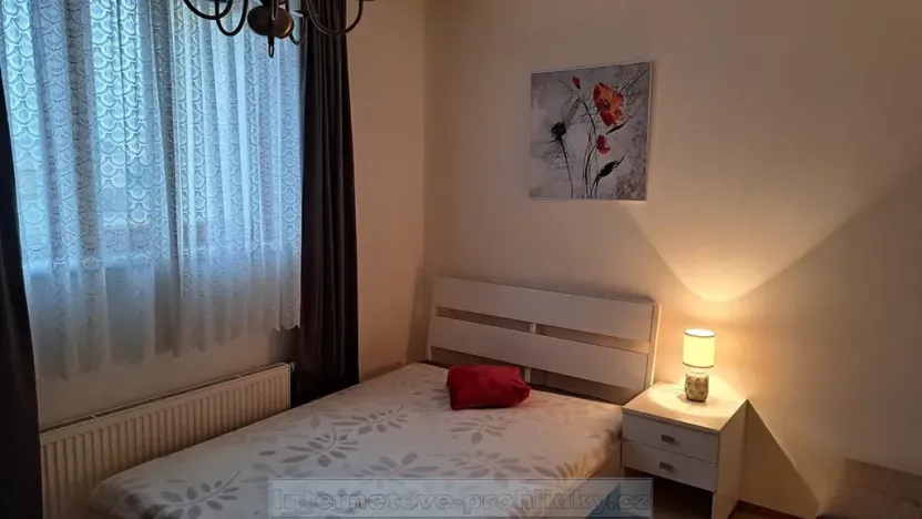 Pronájem pokoje, Praha - Vinohrady, 23 m2