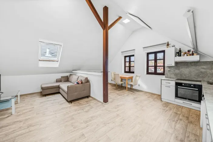 Prodej rodinného domu, Domažlice - Město, Spálená, 312 m2