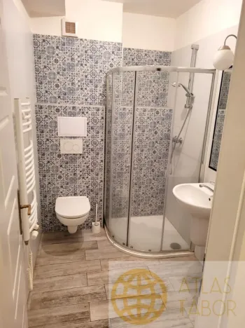 Pronájem bytu 2+kk, Tábor, Převrátilská, 46 m2