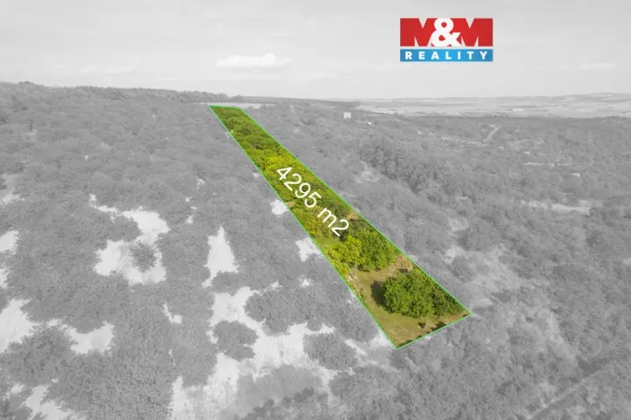 Prodej pole, Židlochovice, 4295 m2