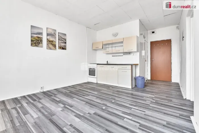 Prodej bytu 1+1, Horní Slavkov, Dlouhá, 38 m2