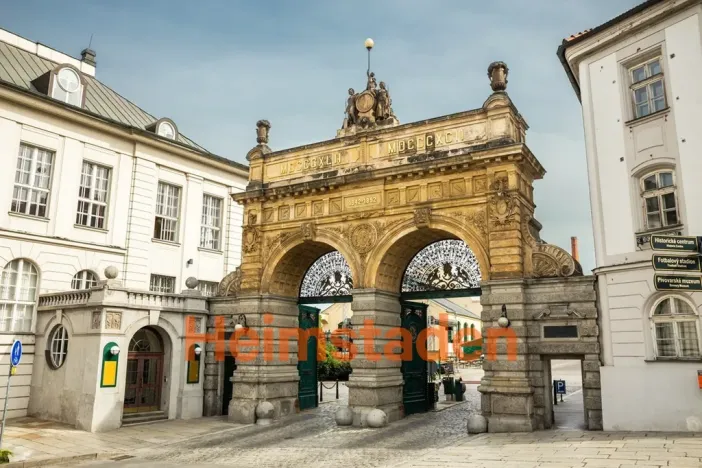 Pronájem bytu 1+kk, Plzeň-Jižní Předměstí, Magisterská, 27 m2