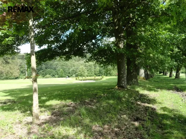 Prodej vícegeneračního domu, Luby - Horní Luby, 250 m2