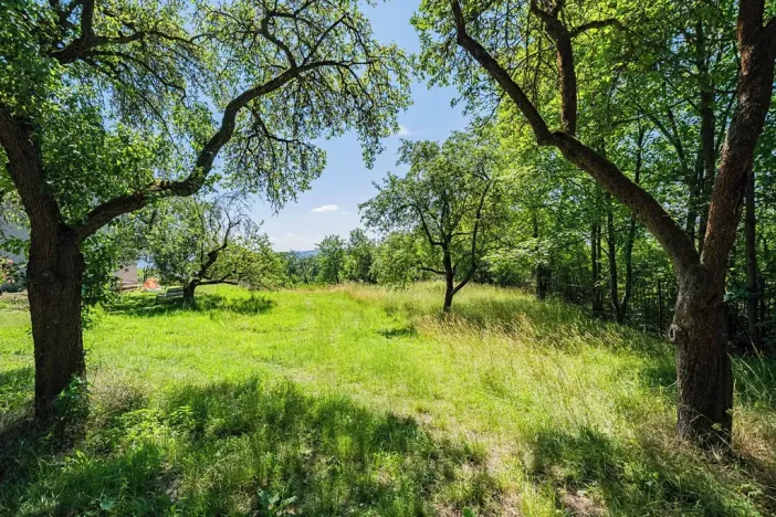 Prodej bytu 2+1, Nová Ves pod Pleší, 93 m2